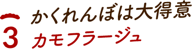 かくれんぼは大得意カモフラージュ